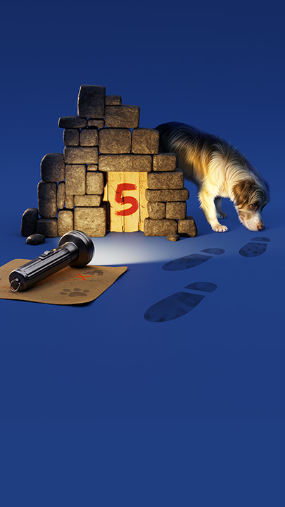 Fünf Freunde Classics