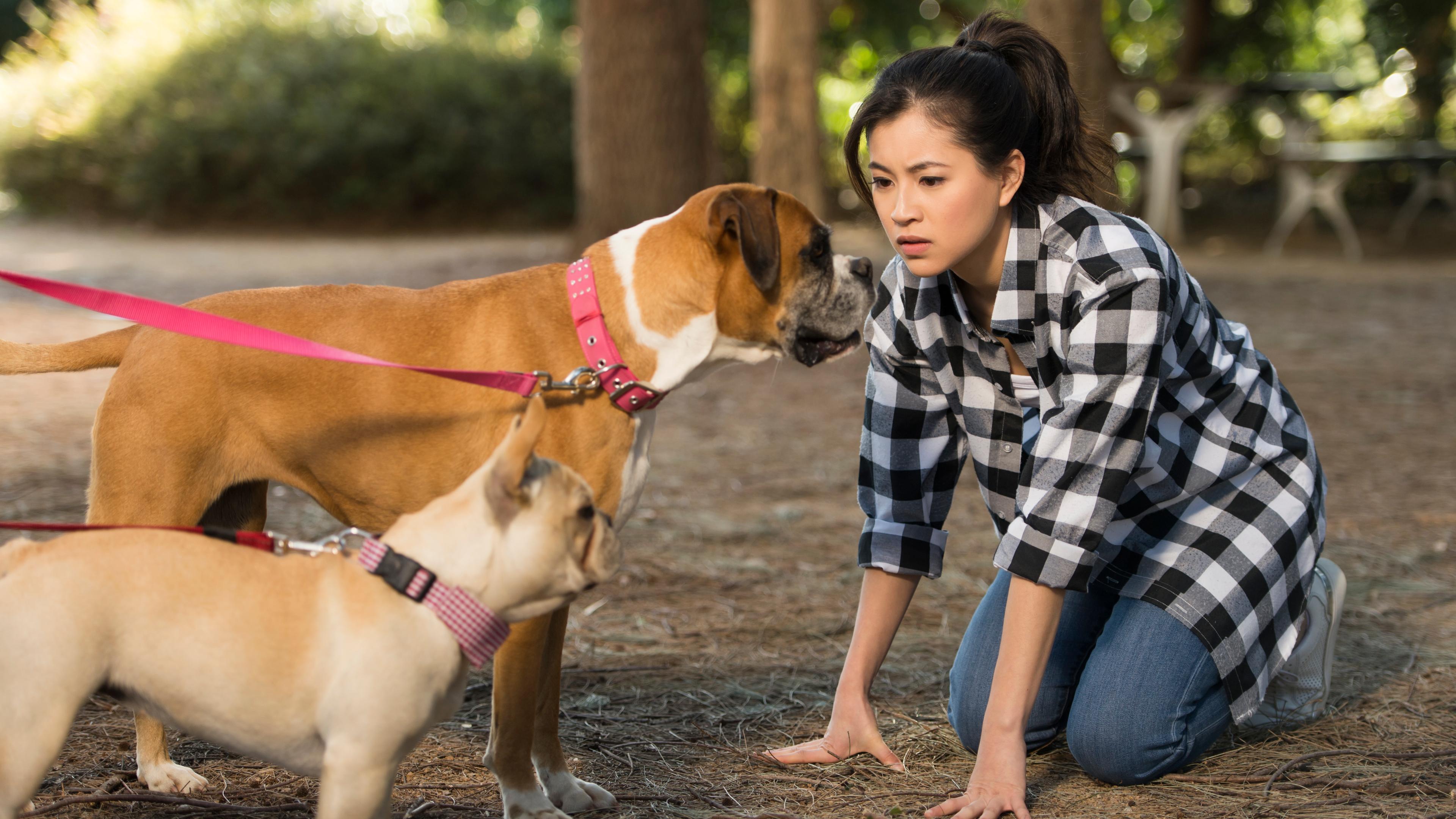 Kyra redet mit Hunden