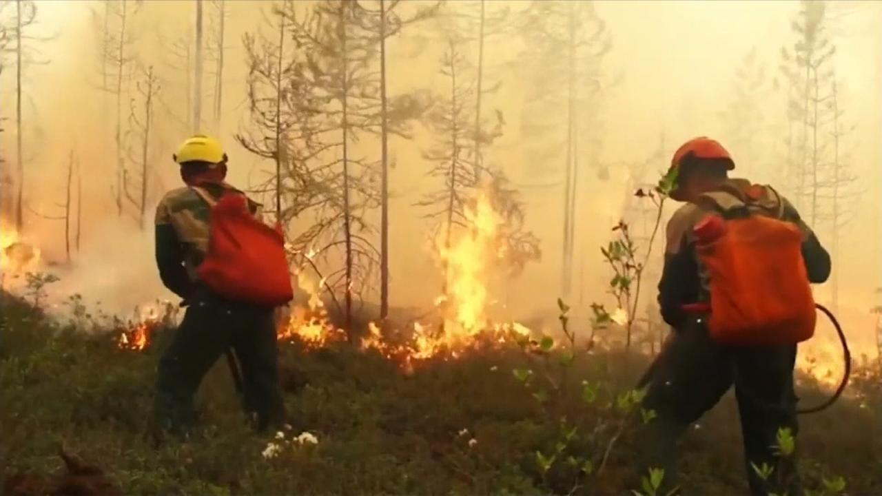пожары в сибири. лесной пожар в регионе. лесные пожары в сибири. лесной пожар в регионе. лесной пожар в регионе.