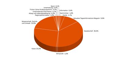 ZDF-Jahrbuch 2023, Programm in Zahl und Grafik, PHOENIX nach Programmkategorien