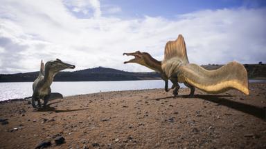  "Unter Dinos - Geheimnisse der Urzeit - Der Vater": Computeranimation: Zwei Spinosaurier kämpfen miteinander an einem Flussufer.