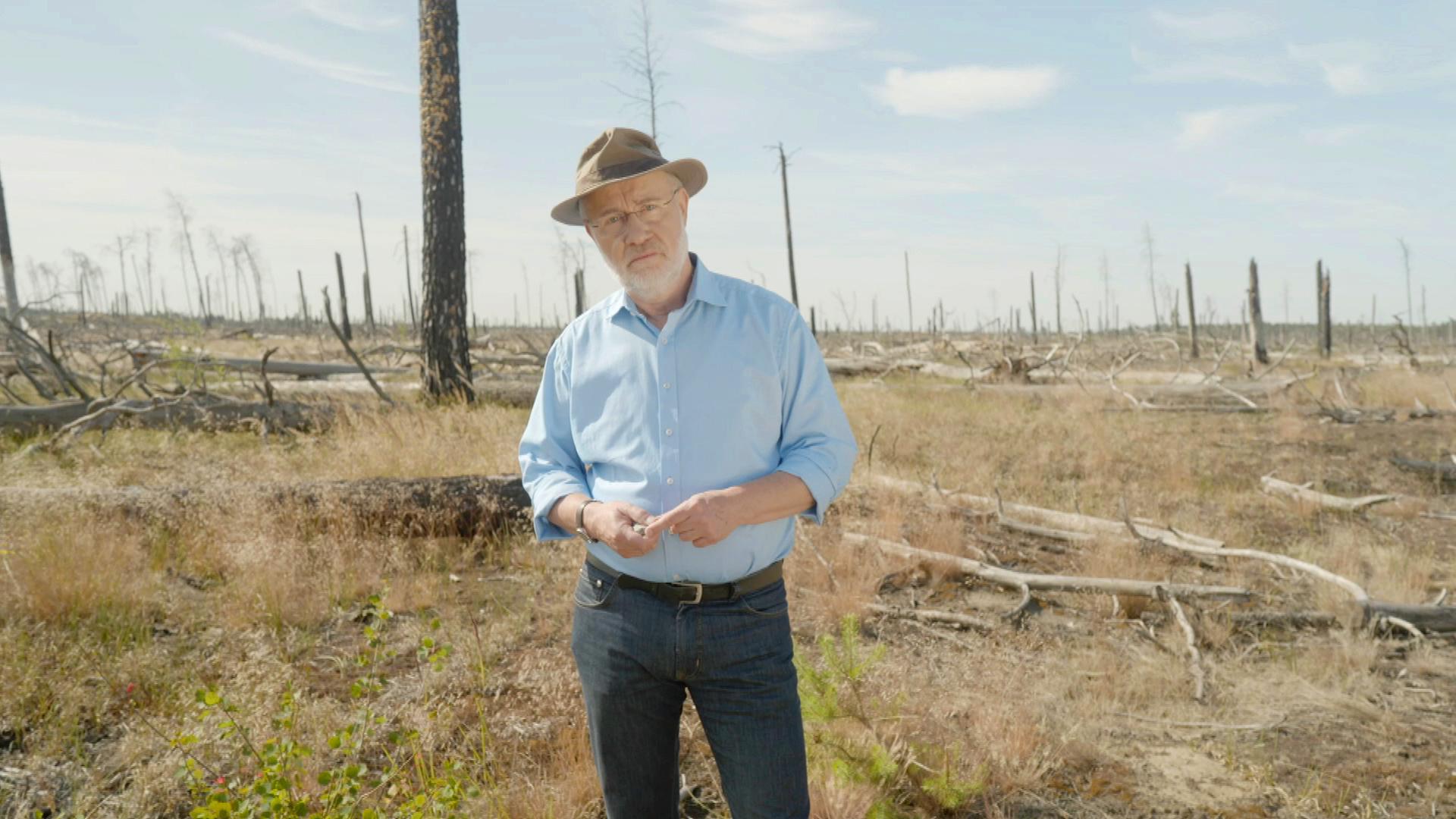 Terra X Harald Lesch: Wütendes Wetter - Warum tun wir nichts?": Harald Lesch steht im Forst Zinna-Jüterbog-Keilberg auf einer Wiese und schaut in die Kamera. Auf der Wiese stehen verdorrte Baumstümpfe, die Wiese ist ausgetrocknet.