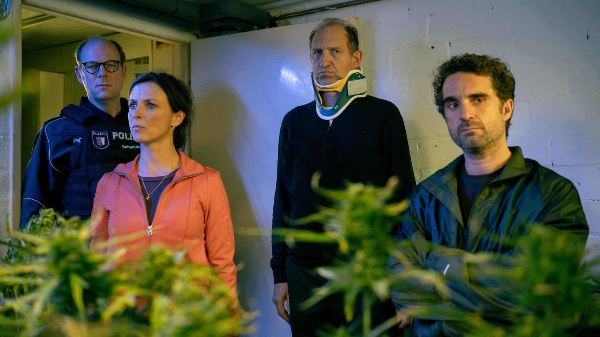 "Nord Nord Mord - Sievers und der tiefe Schlaf": Polizist Schneider (Stephan A. Tölle), Ina Behrendsen (Julia Brendler), Carl Sievers (Peter Heinrich Brix) und Hinnerk Feldmann (Oliver Wnuk) stehen vor ein paar grünen Marihuana-Pflanzen, die im Anschnitt des unteren Bildrandes zu sehen sind. Carl Sievers trägt eine Halskrause und hat eine blutende Wunde am Kopf.