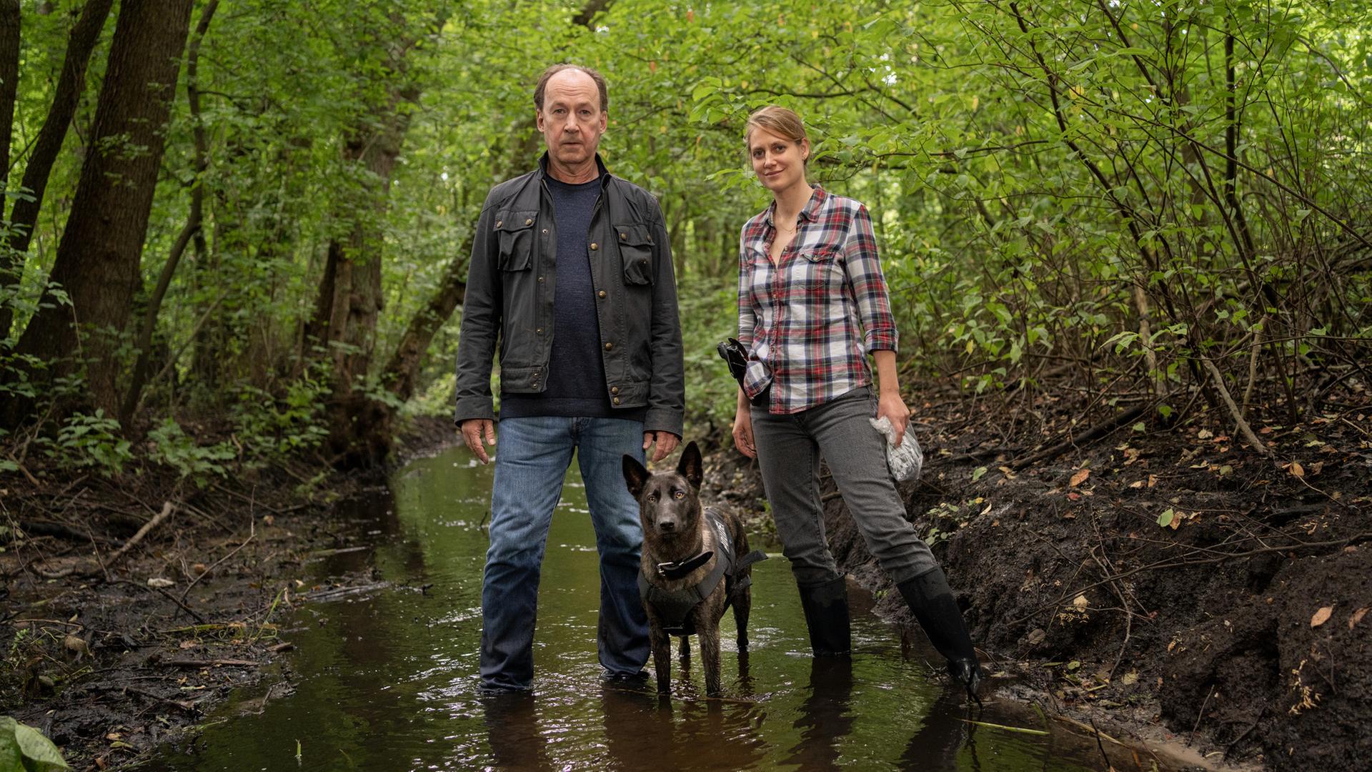 "Wendland - Stiller und der Wolf im Schafspelz": Jakob Stiller (Ulrich Noethen) und Kira Engelmann (Bettina Burchard) stehen zusammen mit einem Hund im Wald in einem Bach.