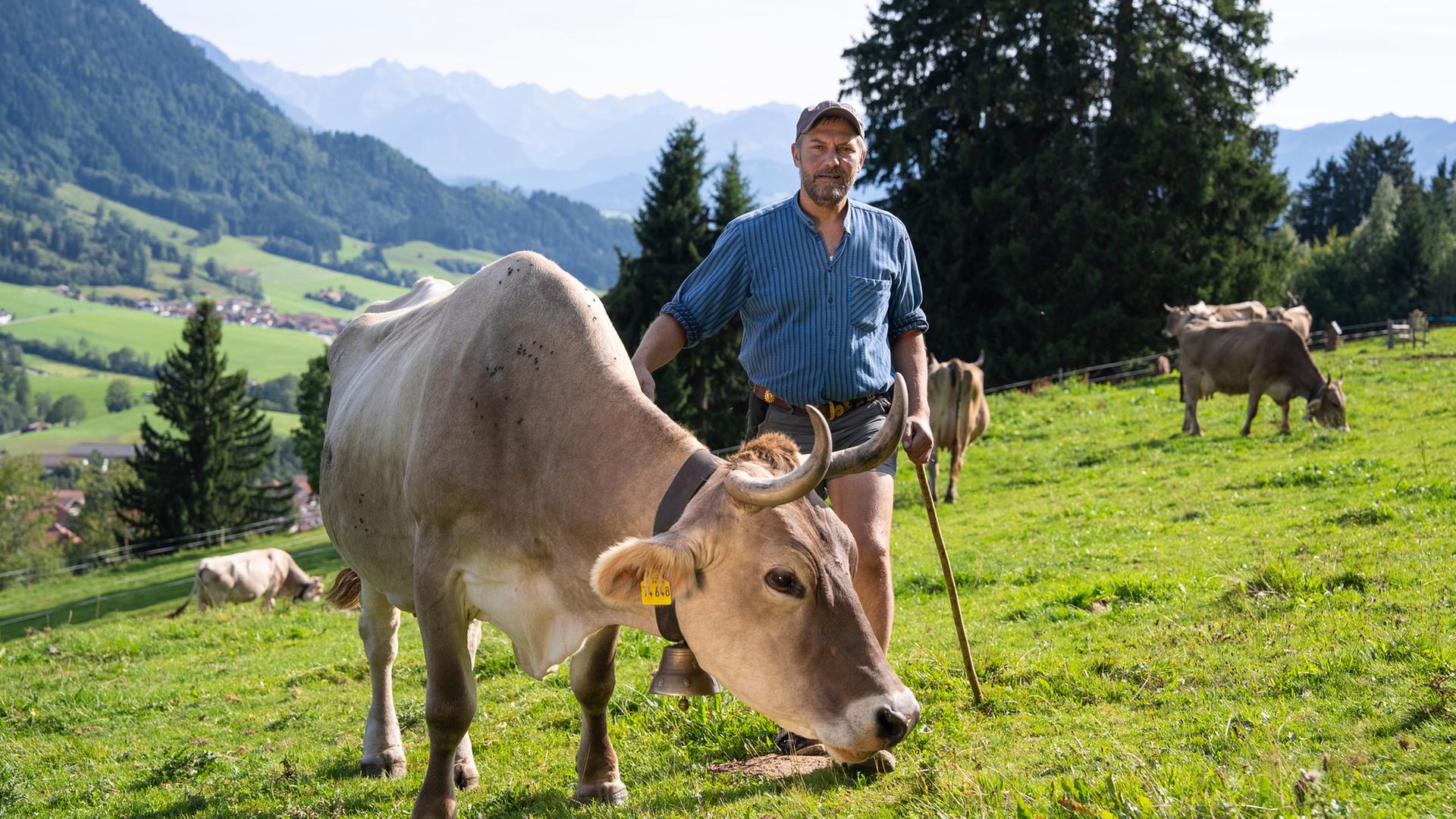 "Wozu noch Ackern? - Landwirtschaft in Gefahr?": Andreas Dengel nach dem "Alpauftrieb" neben einer Kuh