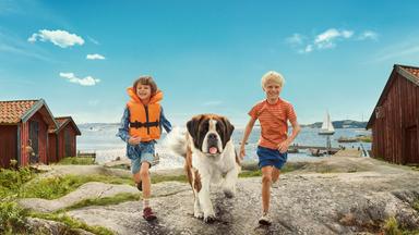 "Unsere Ferien auf Saltkrokan": Keyvisual