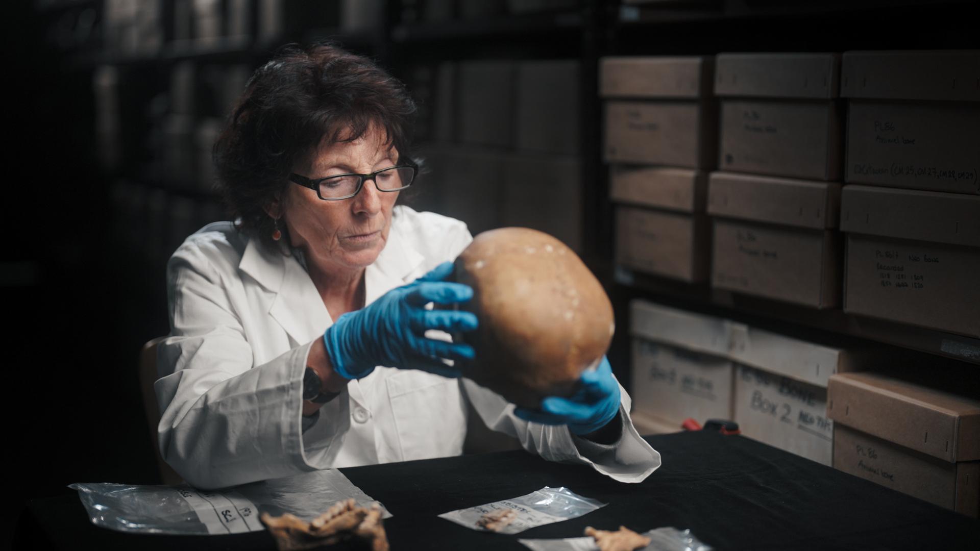 "Terra X: Vergessenes Wissen - Die Schätze der Natur": Archäologin Karen Hardy sitzt in einem Arbeitsraum an einem Tisch und hält einen Schädel in den Händen.