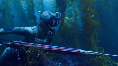 "Speara": Speerfischerin Mitsuki taucht auf dem Meeresgrund zwischen Wasserpflanzen nach Beute. Sie trägt eine Tauchermontur und führ in der rechten Hand eine große Harpune. 