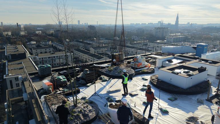 "plan b: City Vibes - Wie kühlen wir unsere Städte ab?": Totale: Fünf Personen befinden sich auf einer Baustelle auf dem Dach eines Hochhauses. Von einem Kran wird eine Lieferung auf dem Dach platziert. Im Hintergrund liegt das Stadtpanorama von Delft.
