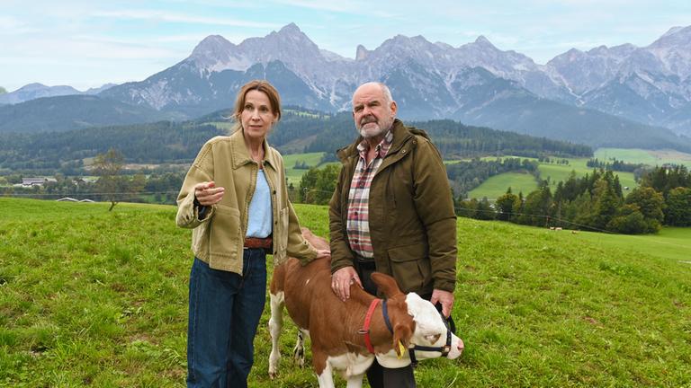"Die Maiwald: Verstärkung": Vor einem Bergpanorama: Andreas Reindl (August Schmölzer) steht neben einem Kuhkälbchen auf der Weide. Er hält es an einem Halfter. Dr. Johanna Maiwald (Doris Schretzmayer) steht ihm gegenüber. Sie hat eine Hand auf den Rücken des Tiers gelegt und zeigt mit der anderen Hand zur Seite. Vor ihr steht ein Arztkoffer aus Metall.  Am Bein des Kälbchens klafft eine blutende Wunde.