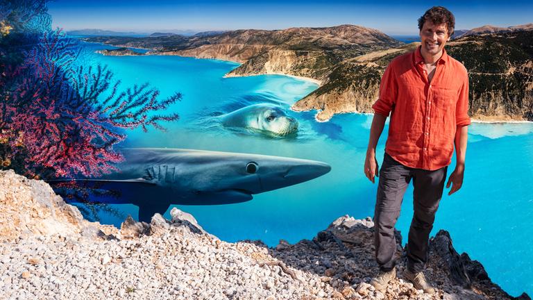 "Terra X: Faszination Wasser: Unser Mittelmeer - Was lebt unter der Oberfläche?": Collage: Uli Kunz steht im Vordergrund. Neben ihm sind ein Hai und eine Robbe auf blauem Untergrund abgebildet. Im Hintergrund ist eine Insel.