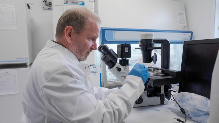 "37°: Geheimsache Tierversuche - Unter Ausschluss der Öffentlichkeit": Professor Stefan Schlatt sitzt in seinem Labor an einem Tisch und schaut durch ein Mikroskop. Er trägt einen weißen Kittel und trägt blaue Handschuhe.