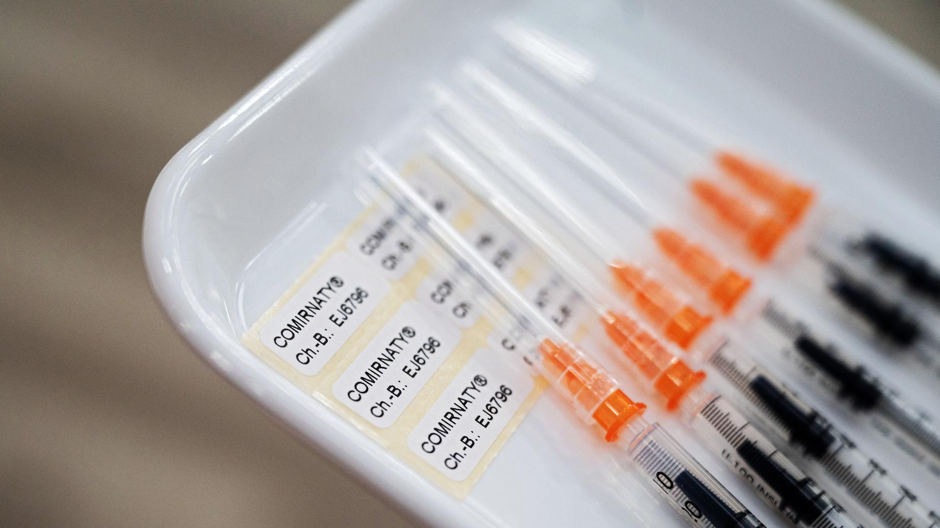 6 Impfspritzen liegen nebeneinander in einer Kunstoffschale