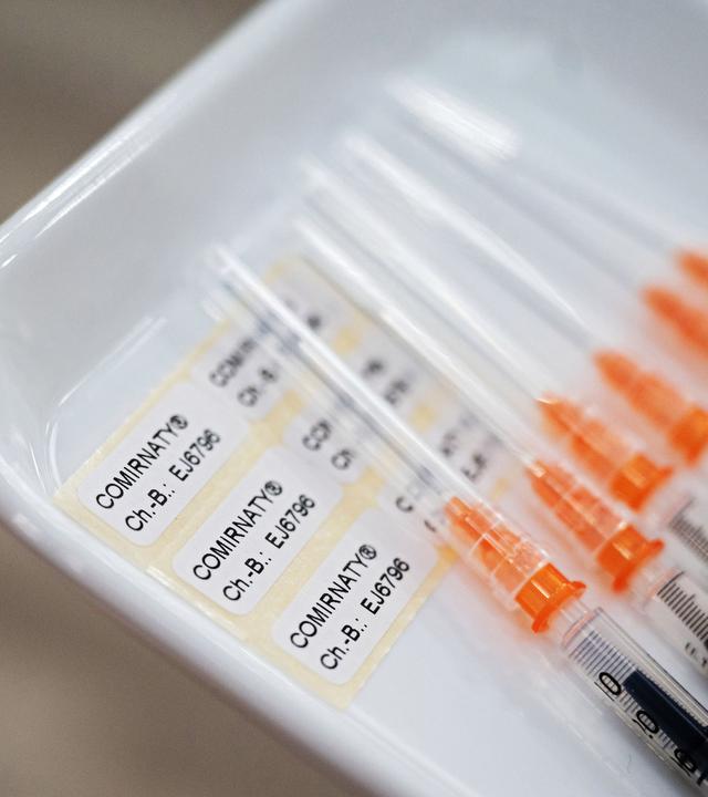 6 Impfspritzen liegen nebeneinander in einer Kunstoffschale