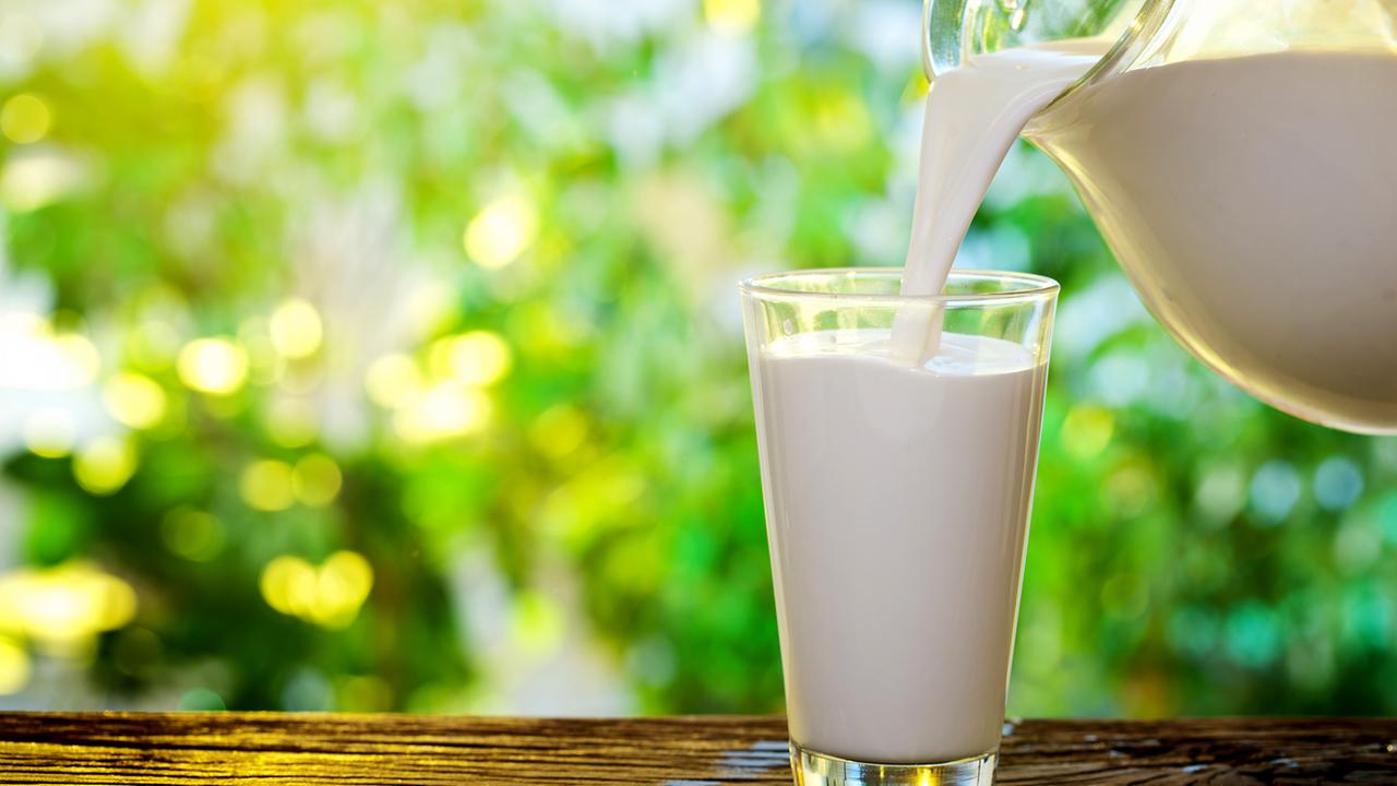 Die Gute Milch Makro Vom 30 03 2021 ZDFmediathek