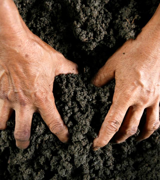 Hände, die sich in Erde graben