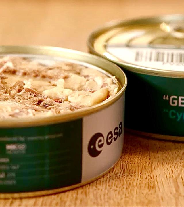 Essen aus Dosen