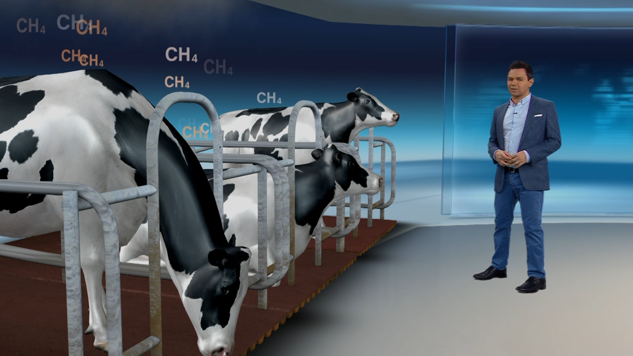 Wie gefährlich ist Methan für das Klima? ZDFheute