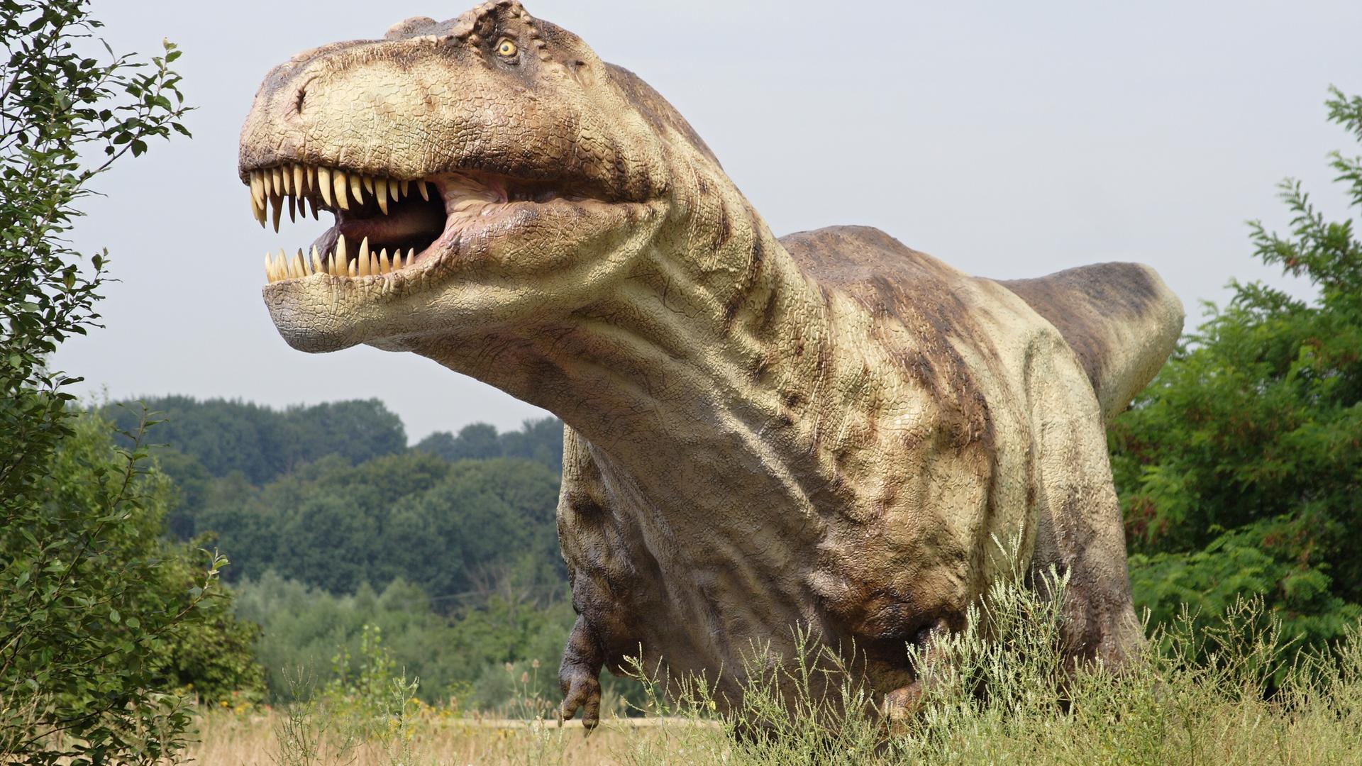 Tyrannosaurus Rex
