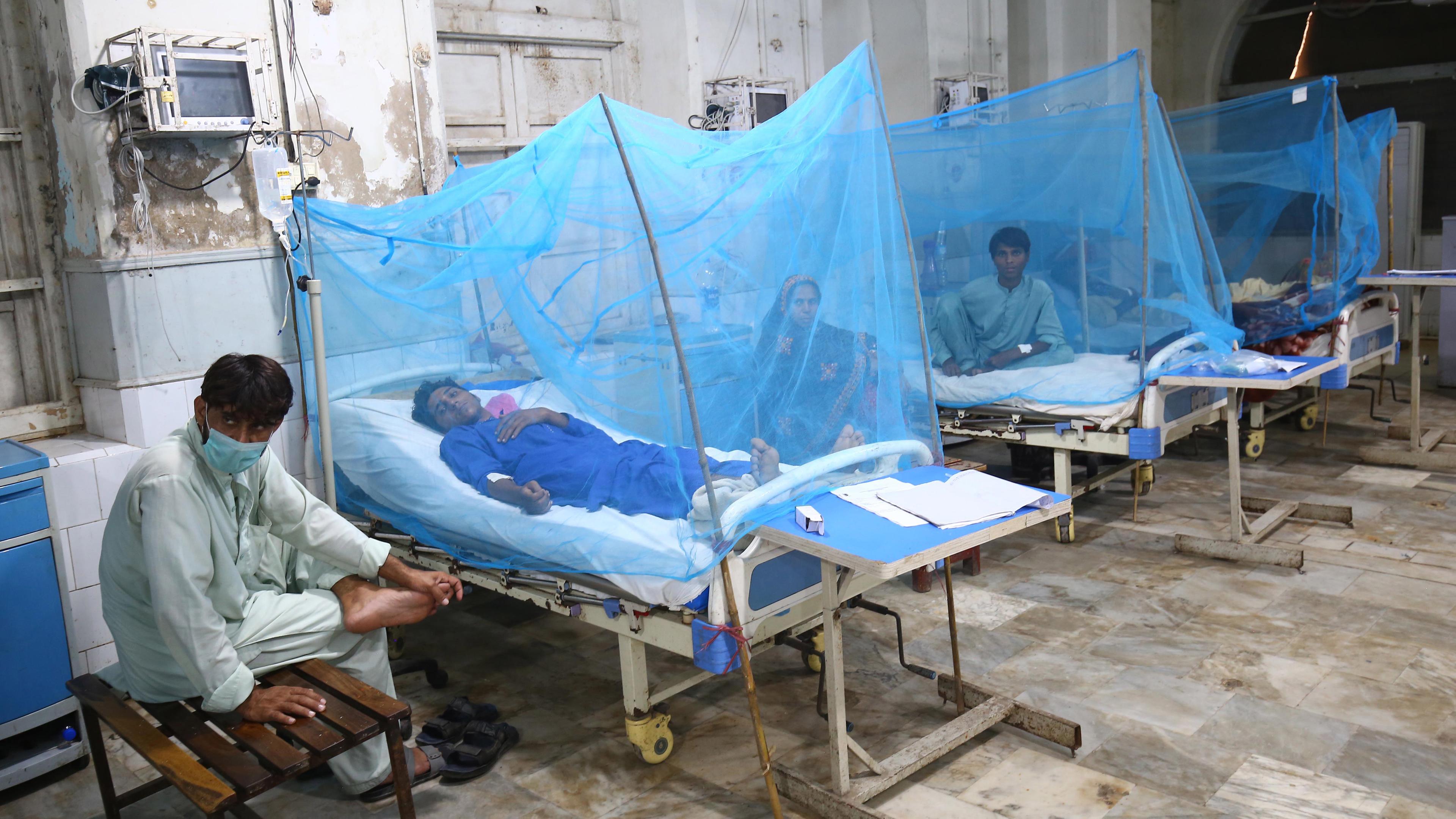 Patients suffering from dengue fever receive medical treatment at an isolation ward of a hospital in Karachi, Pakistan
