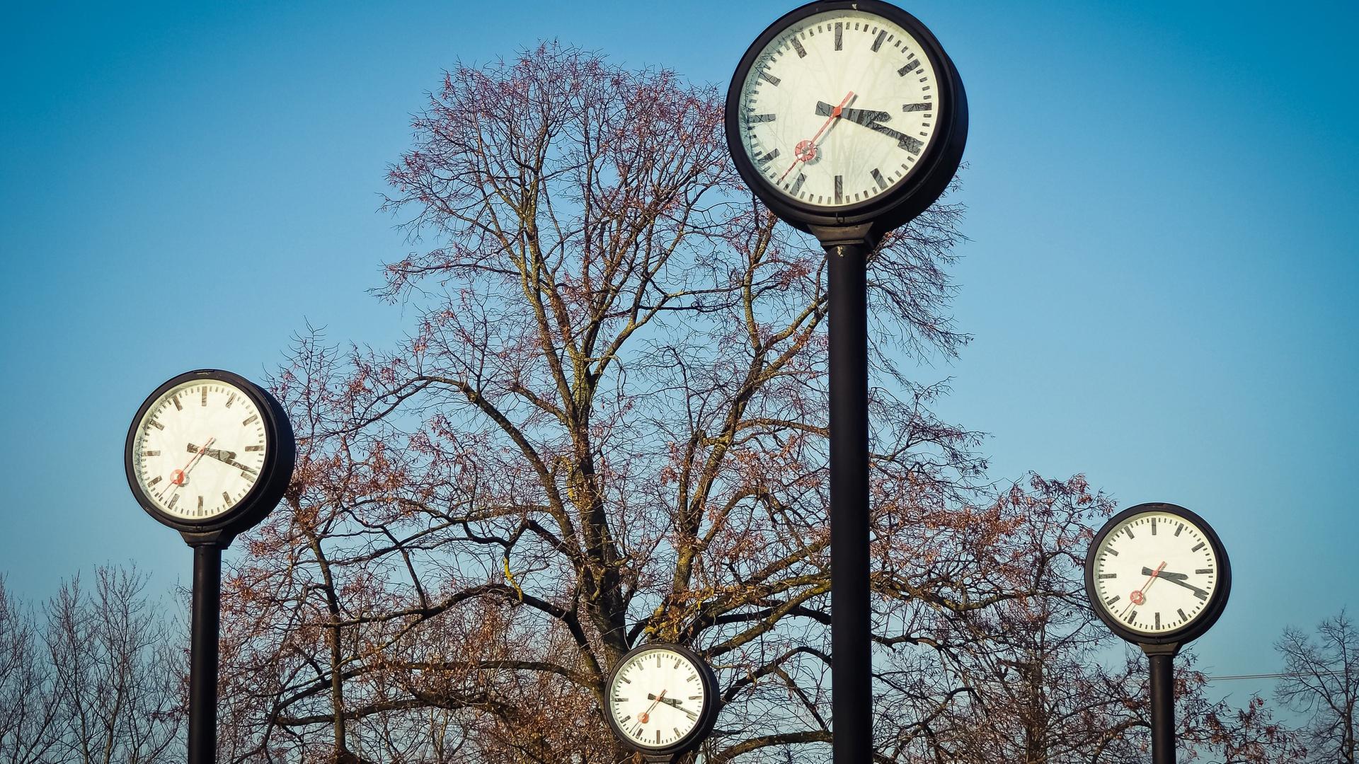 Mehrere Uhren von Bäumen