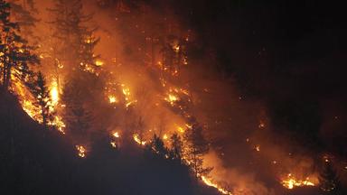 Nano - Trockene Wälder - Mehr Waldbrände