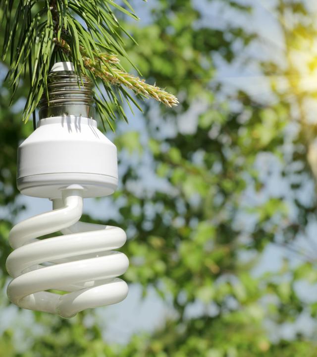 Energiesparlampe hängt an einem Ast