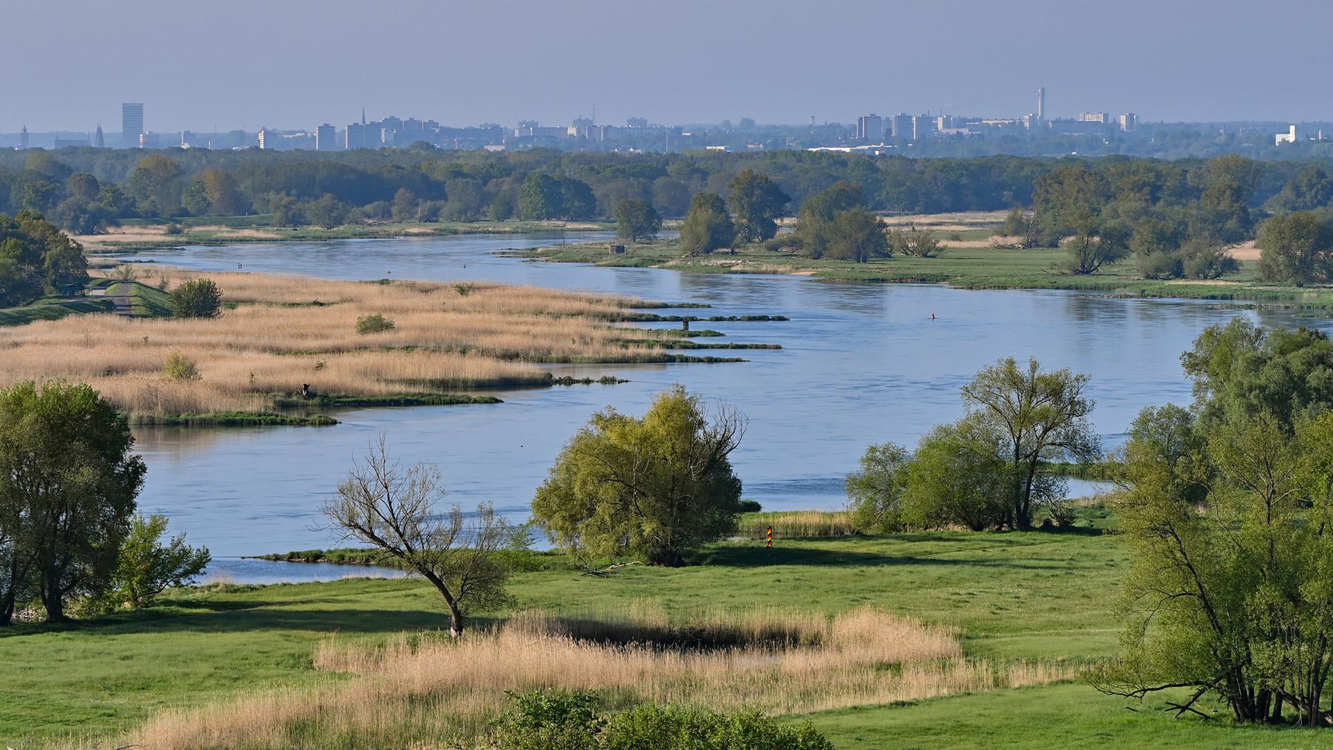 Oder: Blick auf Flusslandschaft