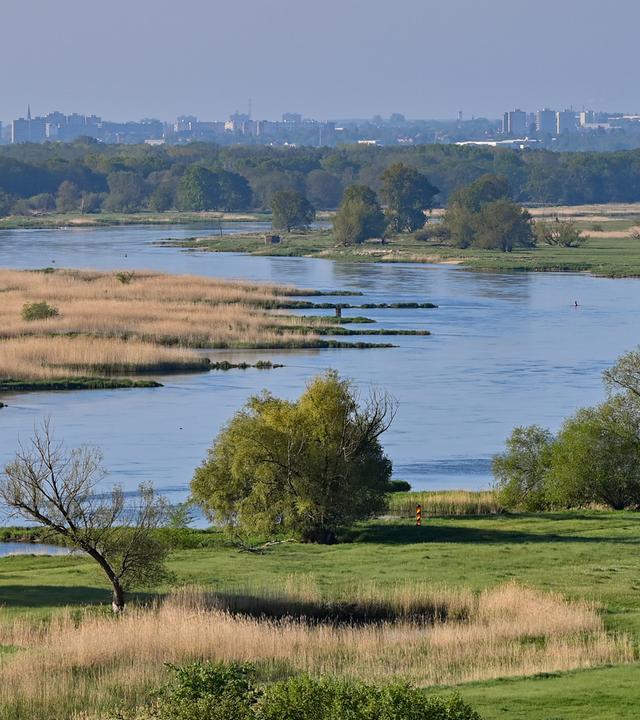 Oder: Blick auf Flusslandschaft