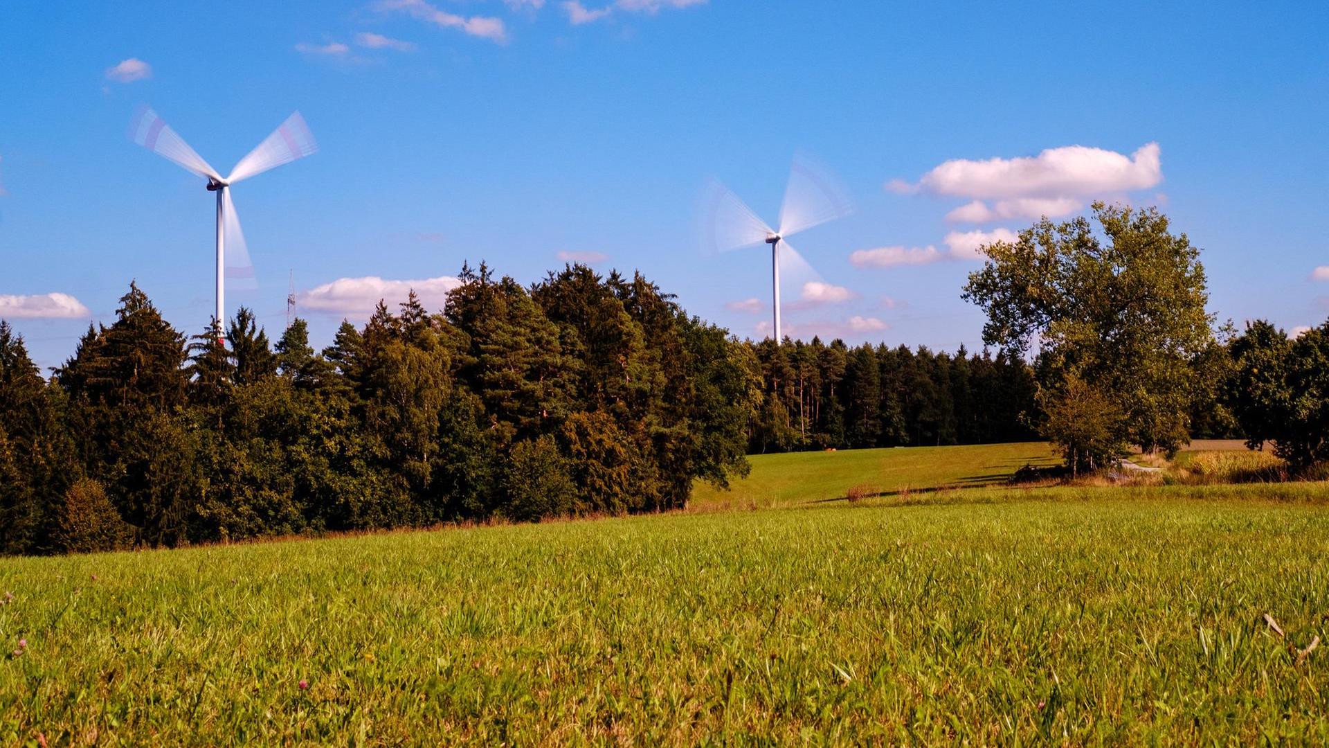 Felder und Wiesen, im Hintergrund zwei Windräder