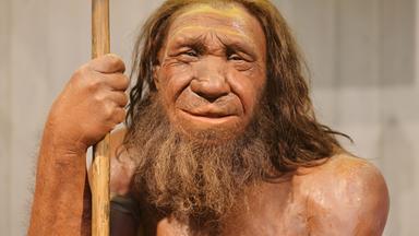 Nano - Nano Vom 14.10. 2022: Wie Viel Neandertaler Steckt Noch In Uns?
