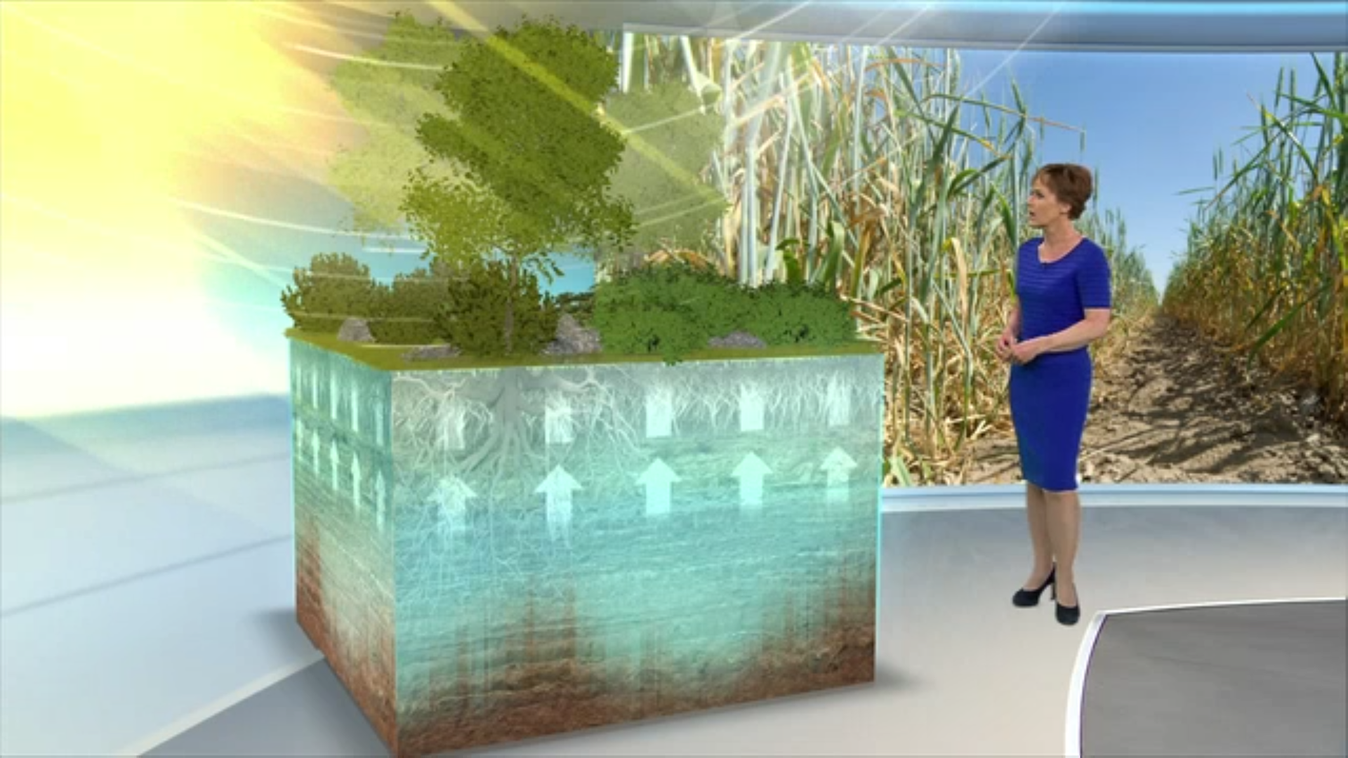 3D-Grafik, Erdquader, Sonne, Wind, Katja Horneffer