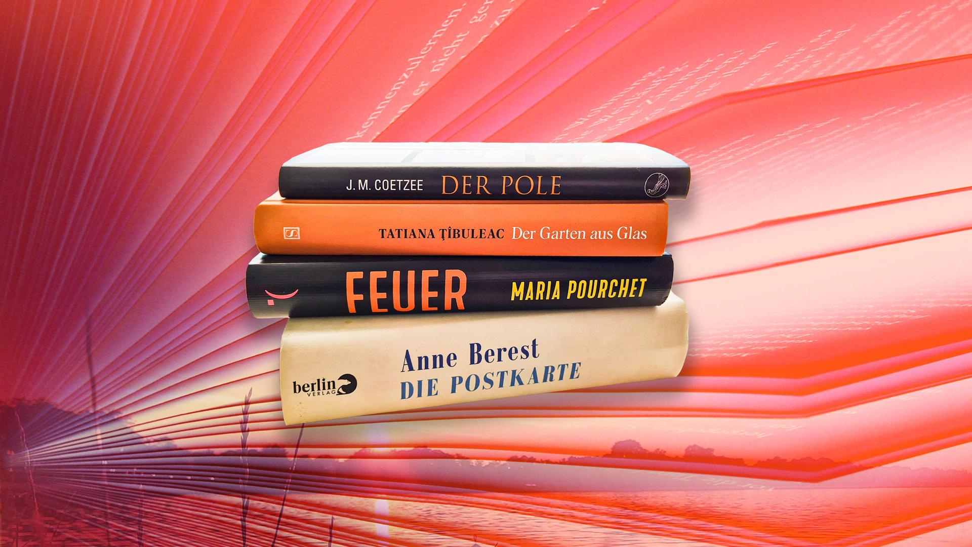 Montage aus Büchern