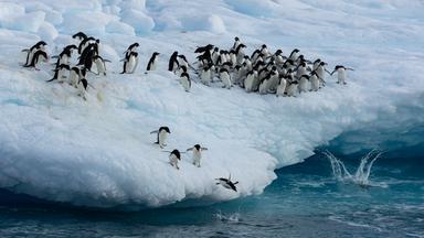 Nano - Ist Die Antarktis Noch Zu Retten?