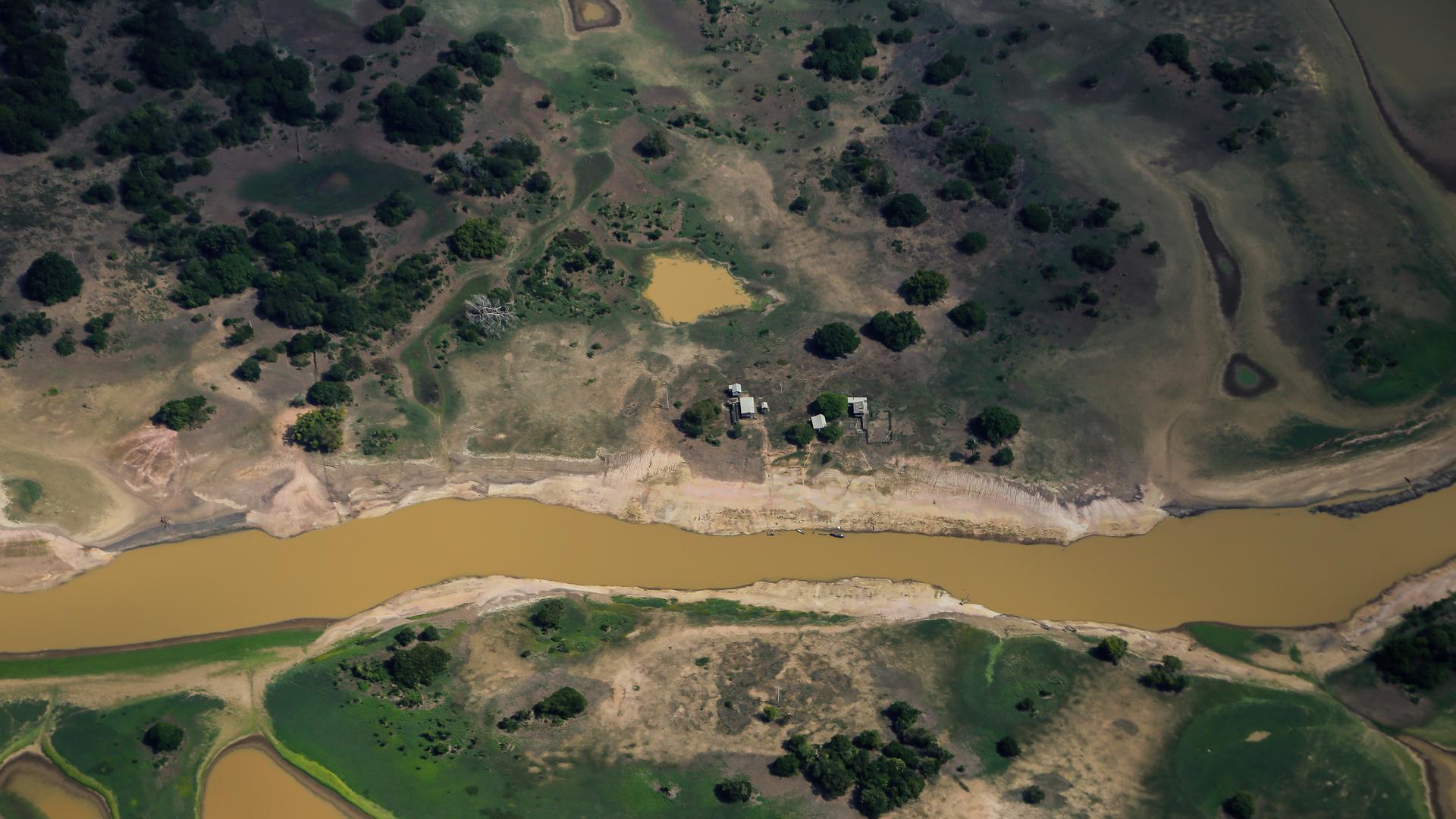 Dürre in Amazonas Regenwald