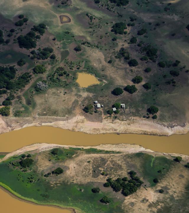 Dürre in Amazonas Regenwald