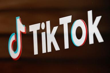 Die AfD und TikTok