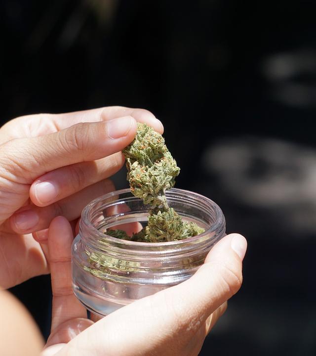 Cannabisblüten werden aus einem Glas geholt
