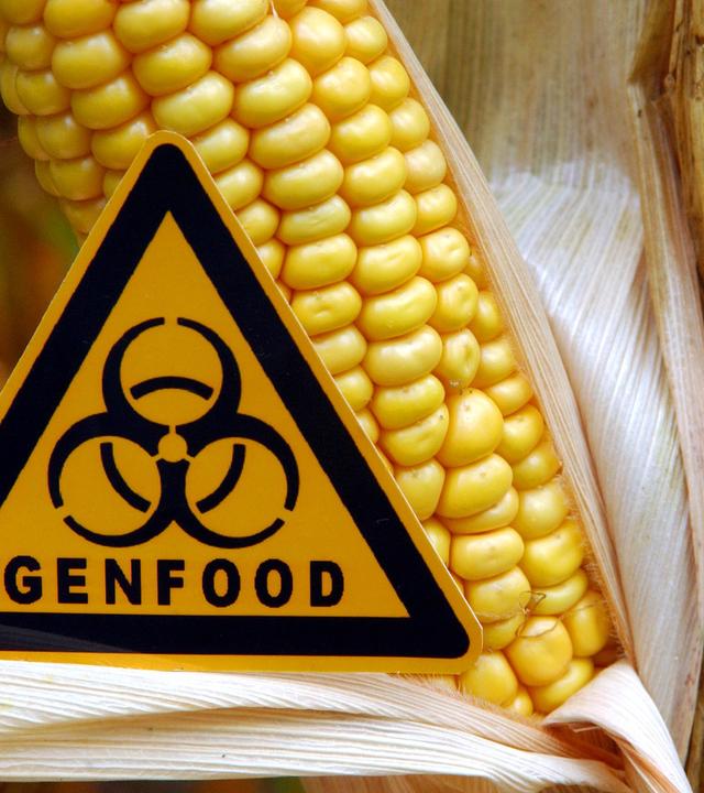 Symbolbild Gentechnik