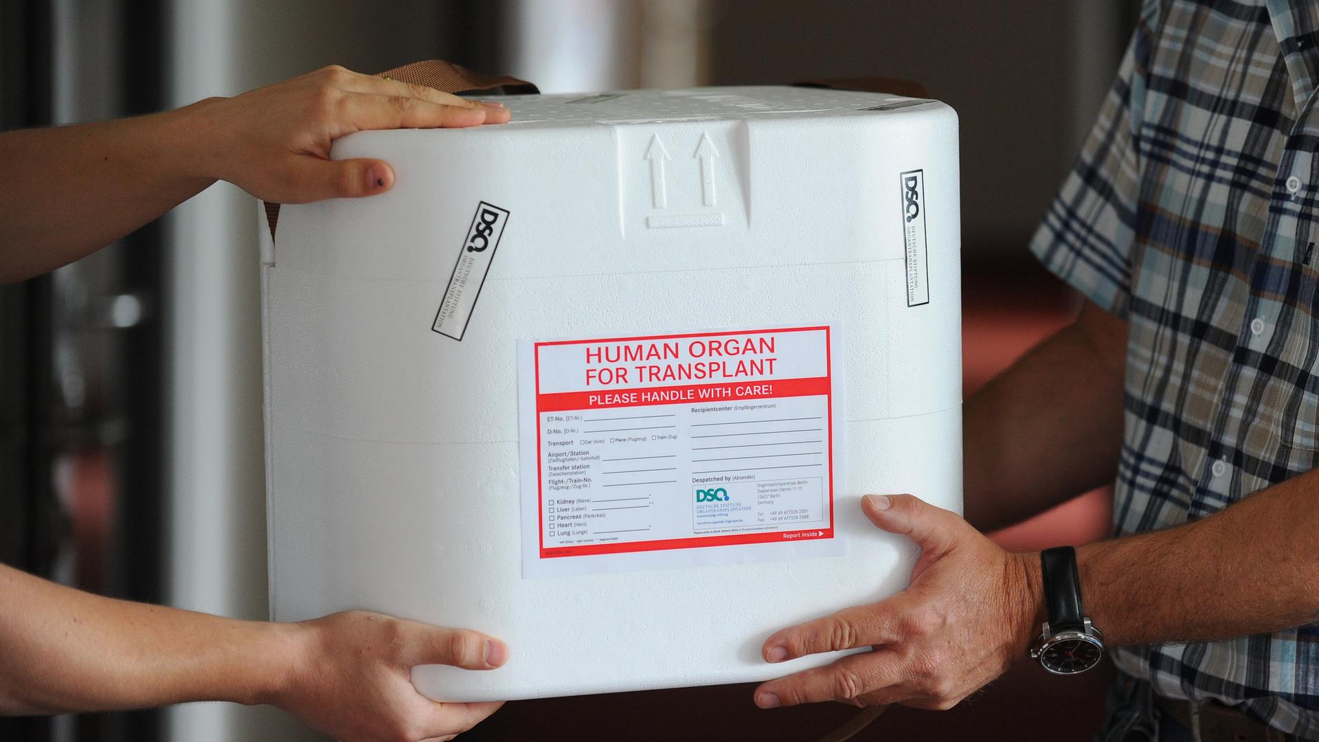 Kühlbox für Spenderorgane