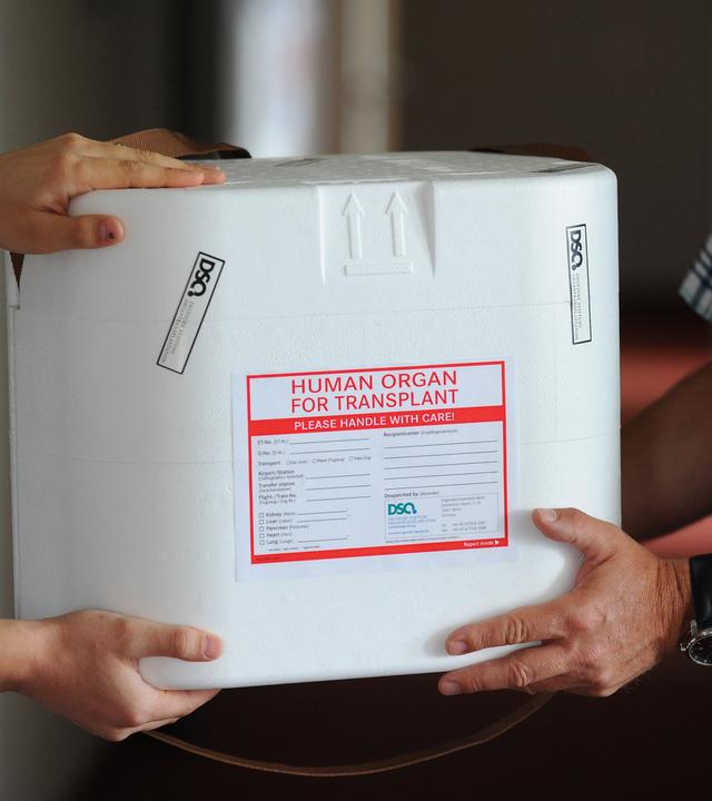 Kühlbox für Spenderorgane