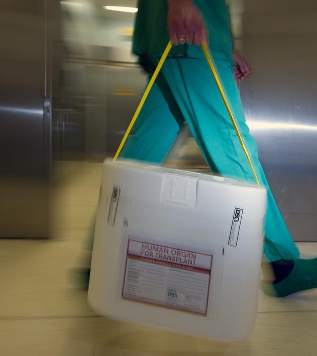 Mann trägt Kühlbox für Organspenden