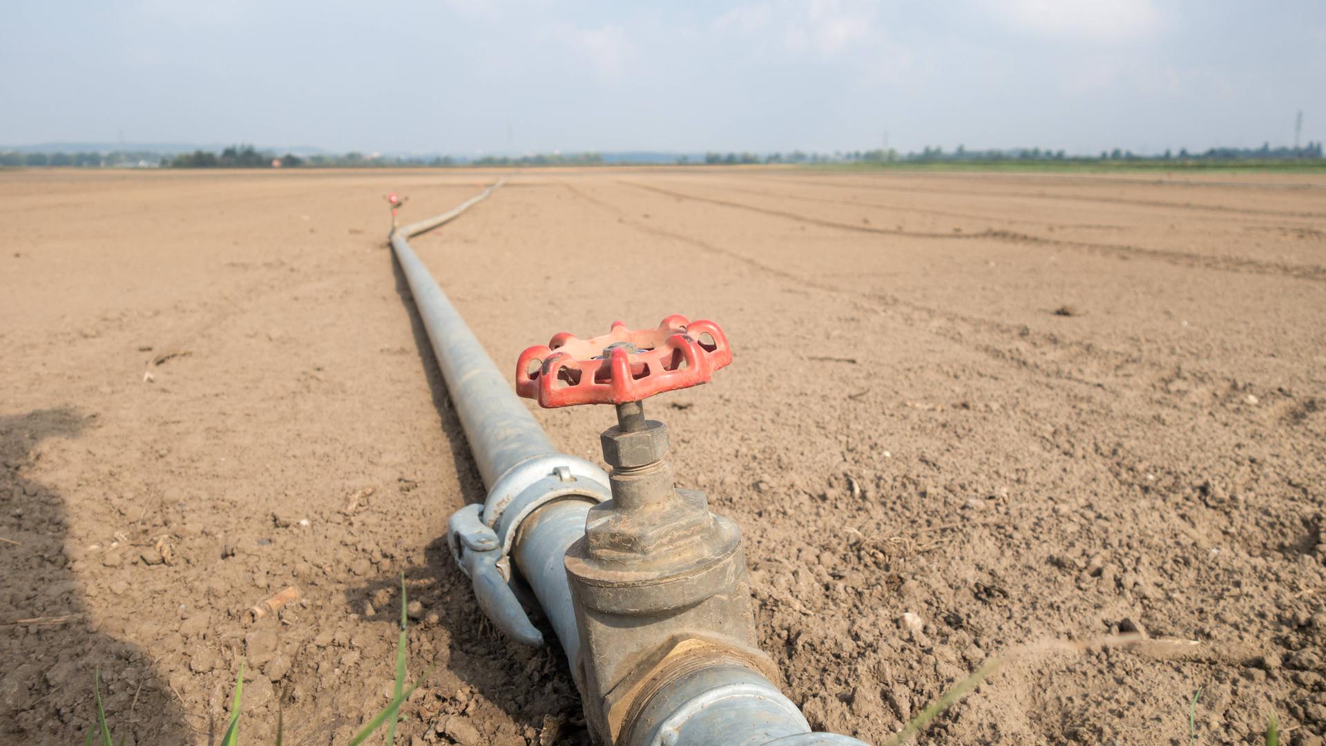 Bewässerungssystem auf einem Feld