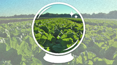 Was wäre, wenn die Welt sich nur noch vegan ernähren würde?