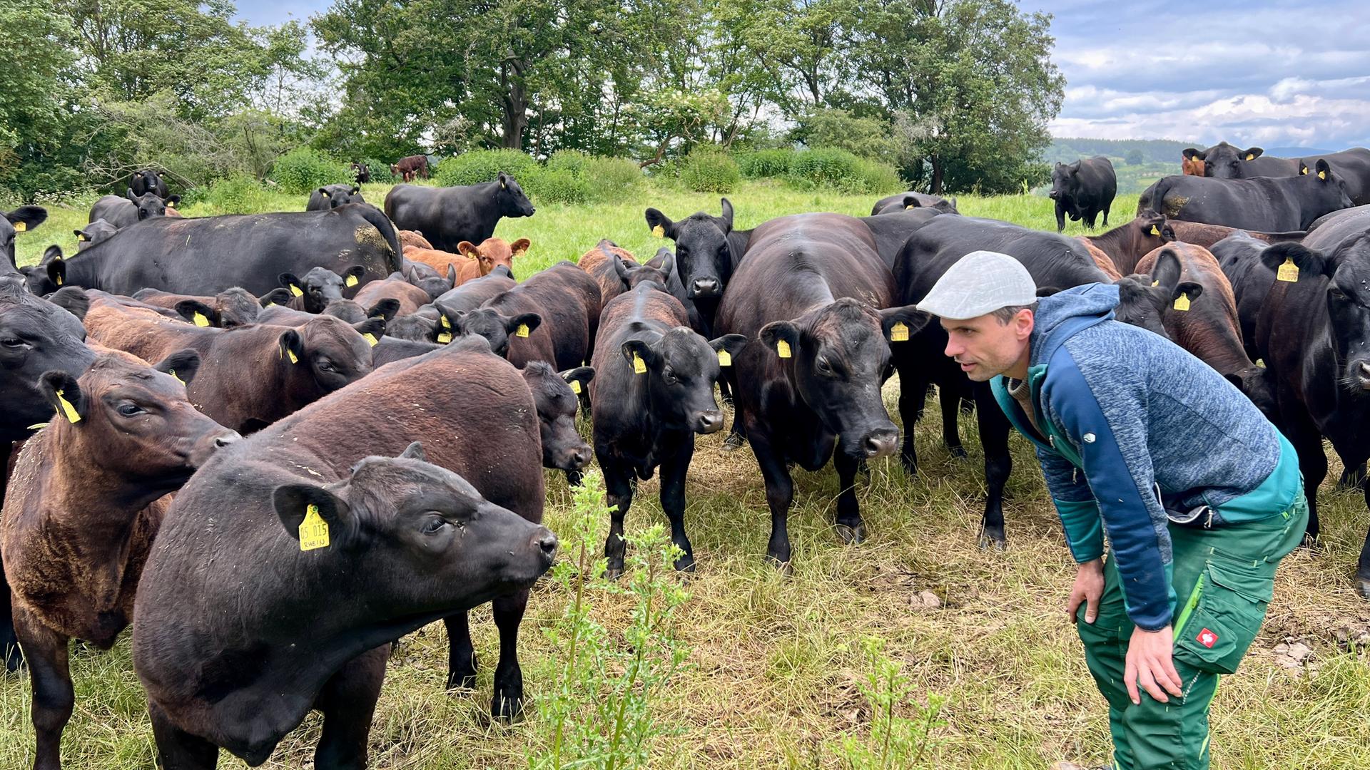 Bild für Welche Zukunft hat Biolandwirtschaft in Deutschland?