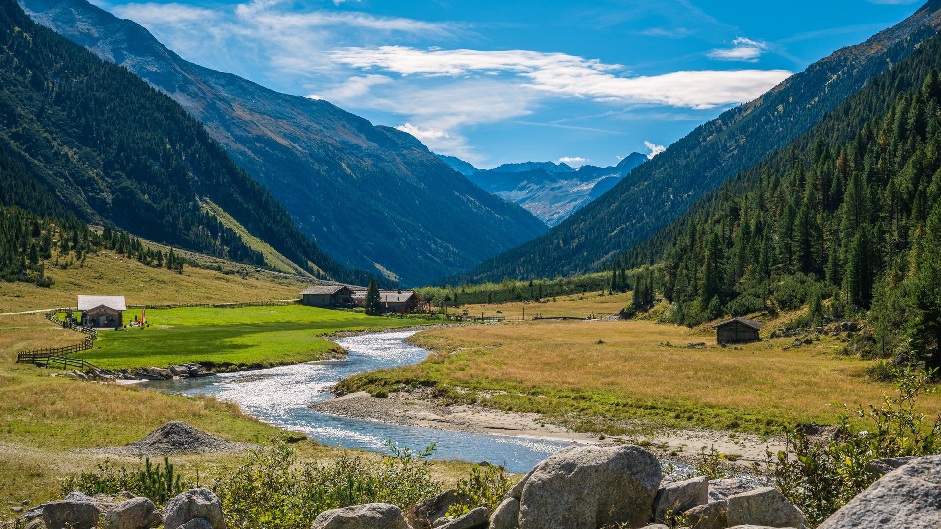 Bild für Österreich als Vorreiter beim Biolandbau