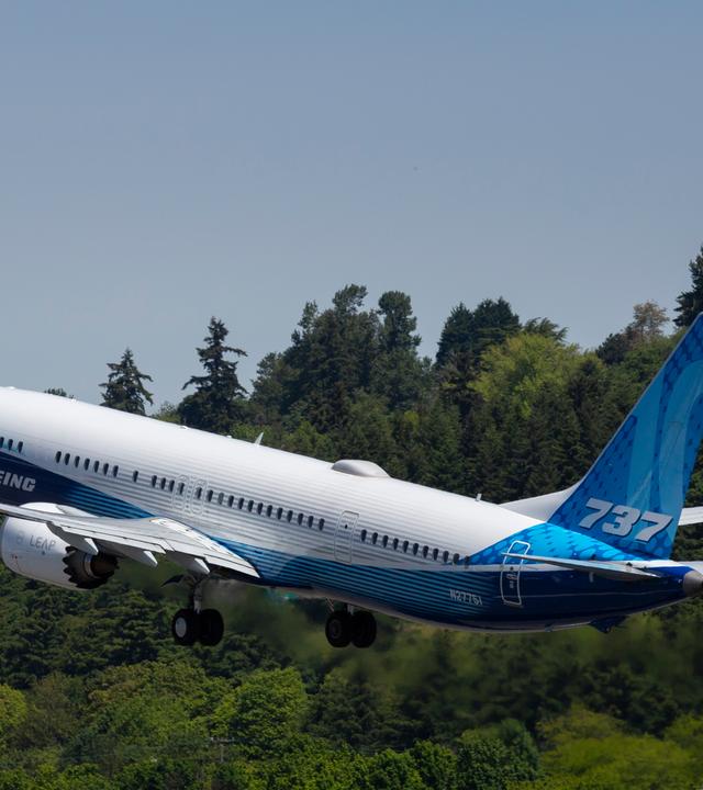 Boeing 737 Max beim Aufsteigen über einem Wald