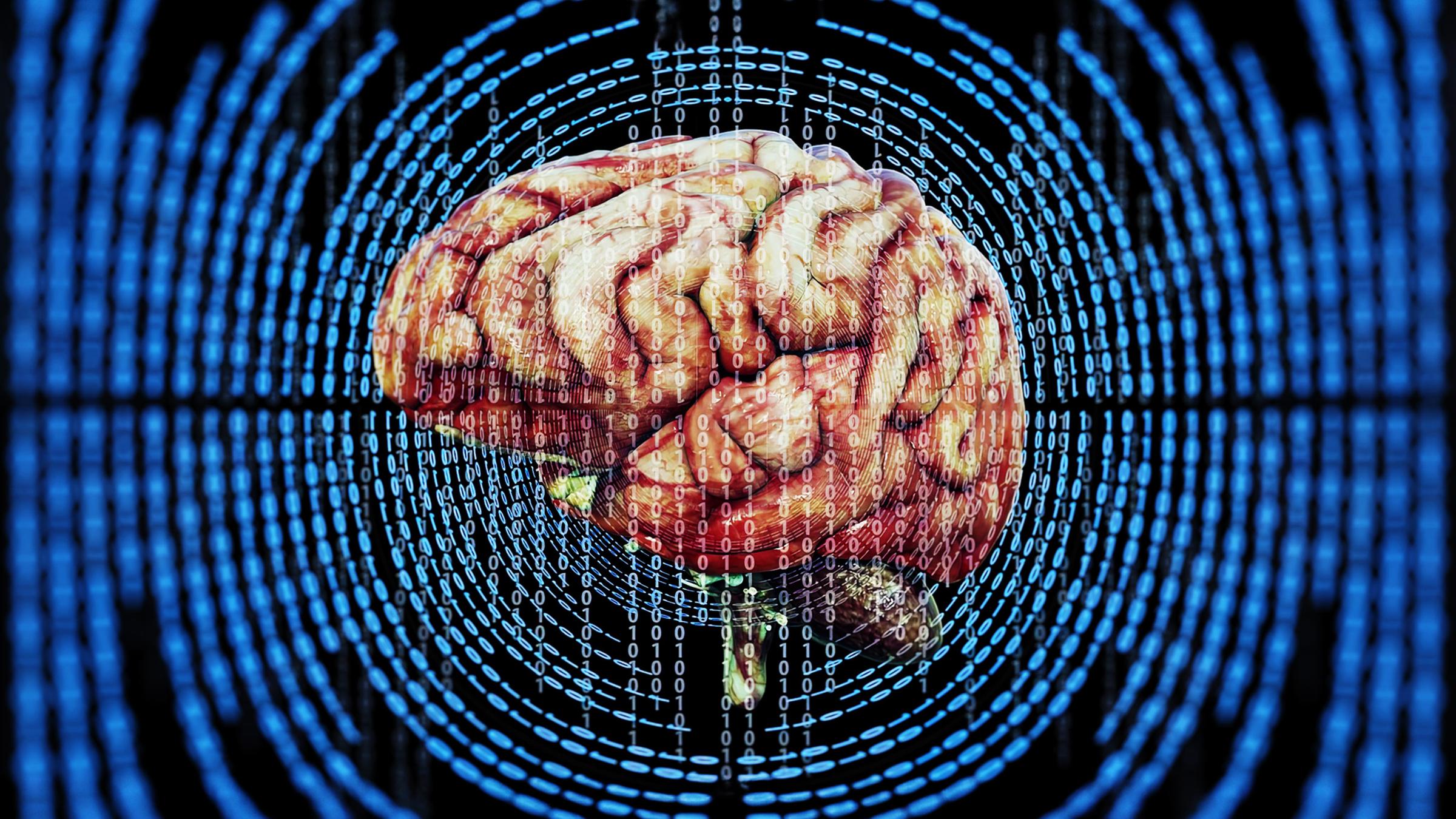 Simulation menschliches Gehirn