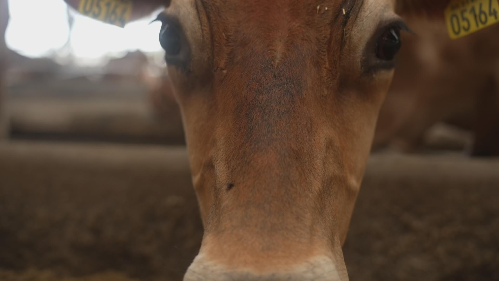 Bilder für heute in europa