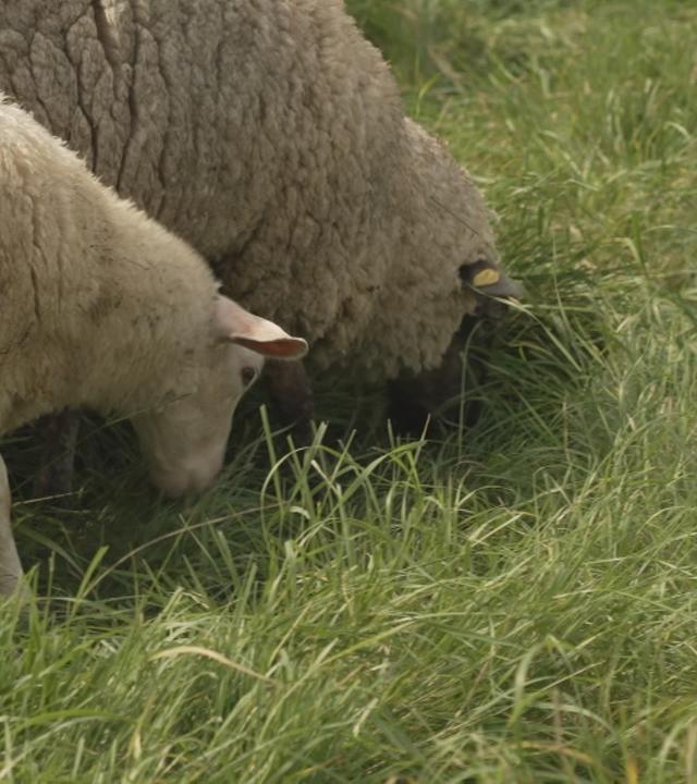 heute in europa bilder